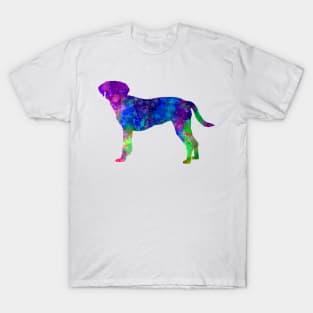 Istrian Scenthound in watercolor T-Shirt